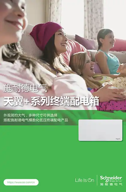 schneider施耐德天翼+系列终端配电箱 说明书